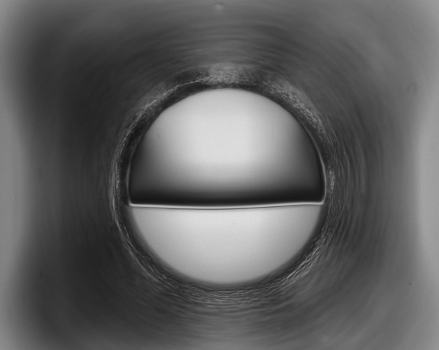 X0000097990588200803241023