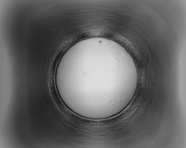 X0000097990590200803241023