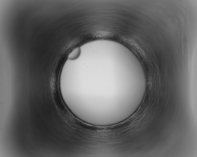 X0000097990591200803241023