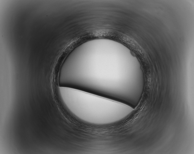 X0000097990592200803241023