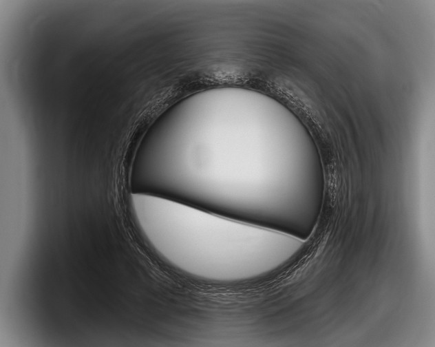 X0000097990593200803241023