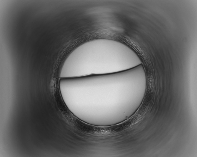 X0000097990594200803241023