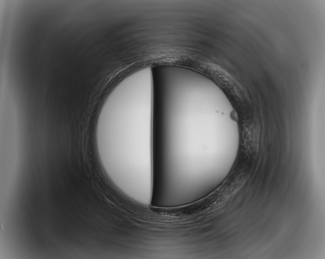 X0000097990596200803241023