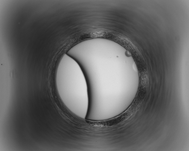 X0000097990598200803241023