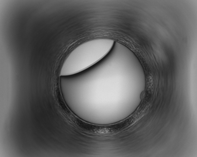 X0000097990600200803241023