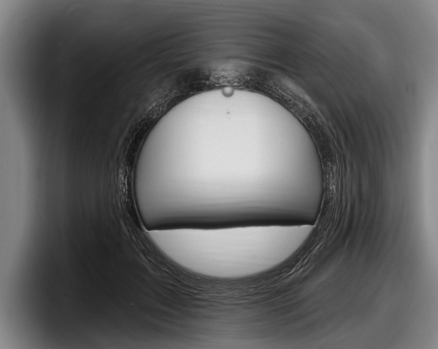 X0000097990603200803241023
