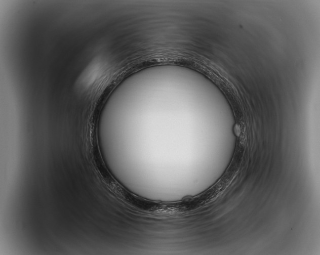 X0000097990604200803241023