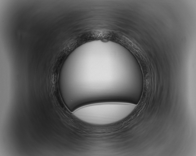 X0000097990605200803241023