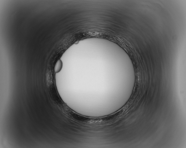 X0000097990606200803241023