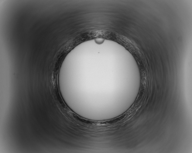 X0000097990607200803241023