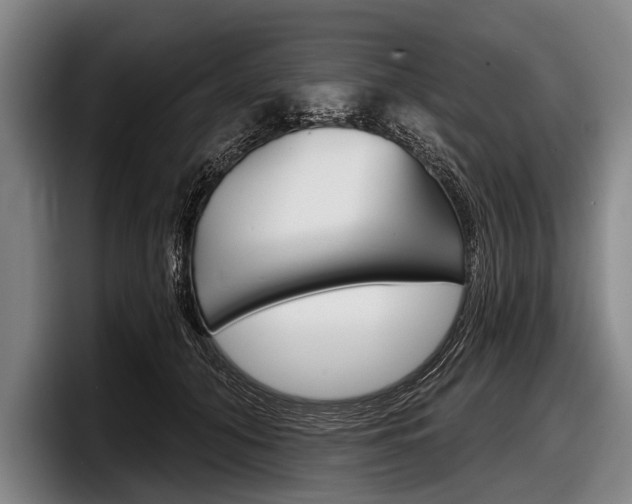 X0000097990608200803241023