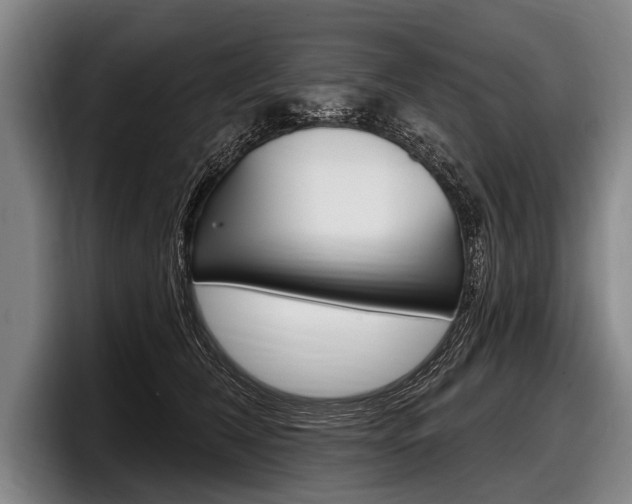 X0000097990612200803241023