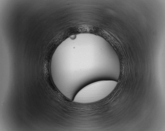 X0000097990616200803241023