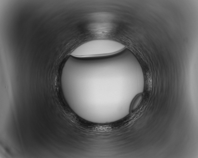 X0000097990619200803241023