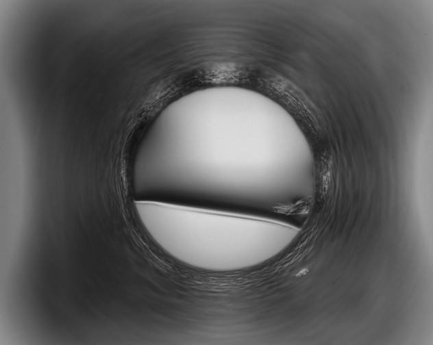 X0000097990620200803241023
