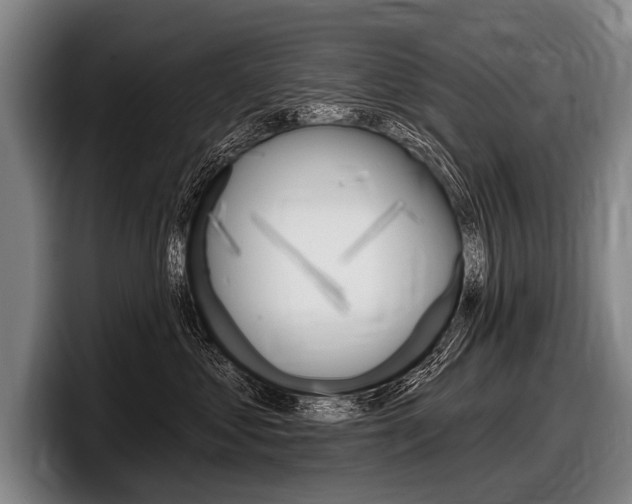X0000097990621200803241023