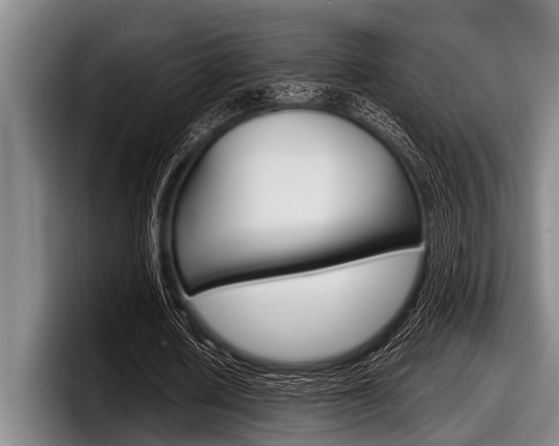X0000097990626200803241022