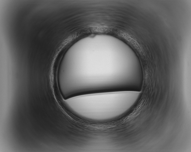 X0000097990630200803241022