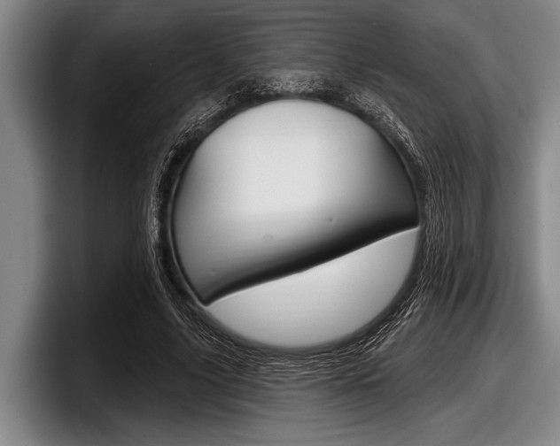 X0000097990635200803241022