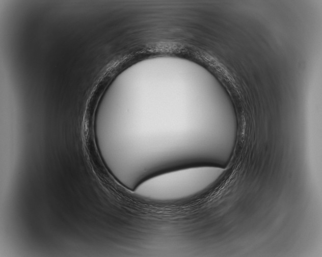 X0000097990636200803241022