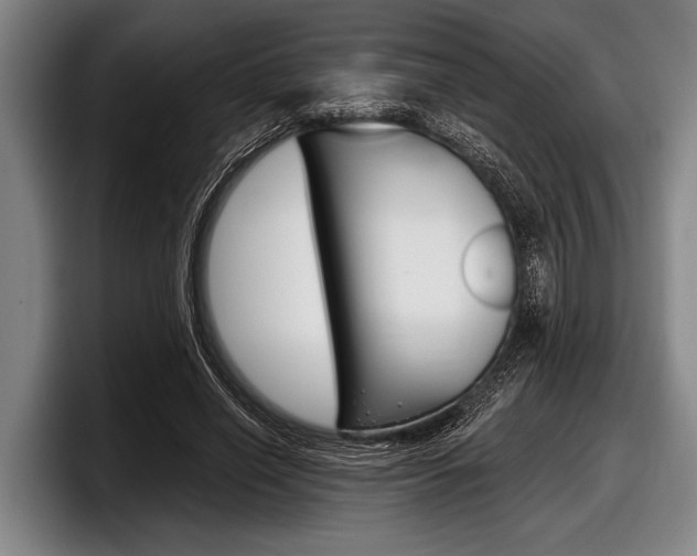 X0000097990638200803241022