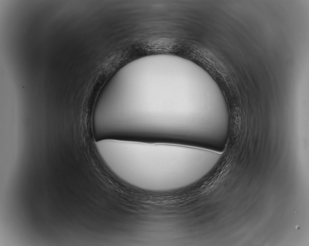 X0000097990641200803241022