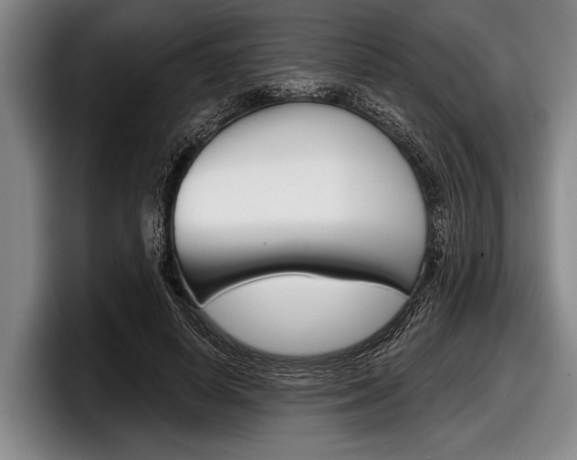 X0000097990642200803241022