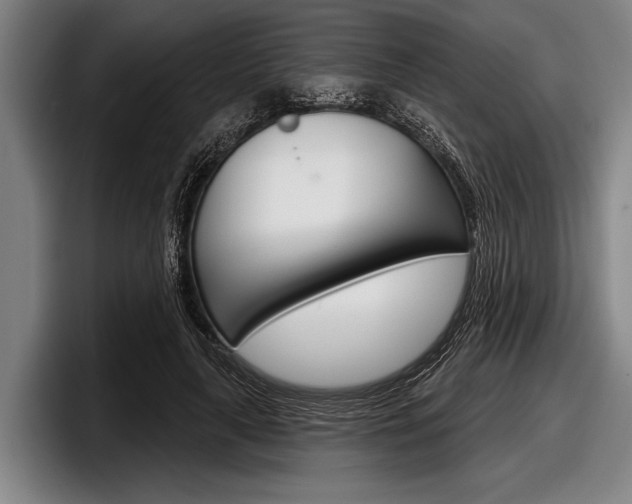 X0000097990643200803241022