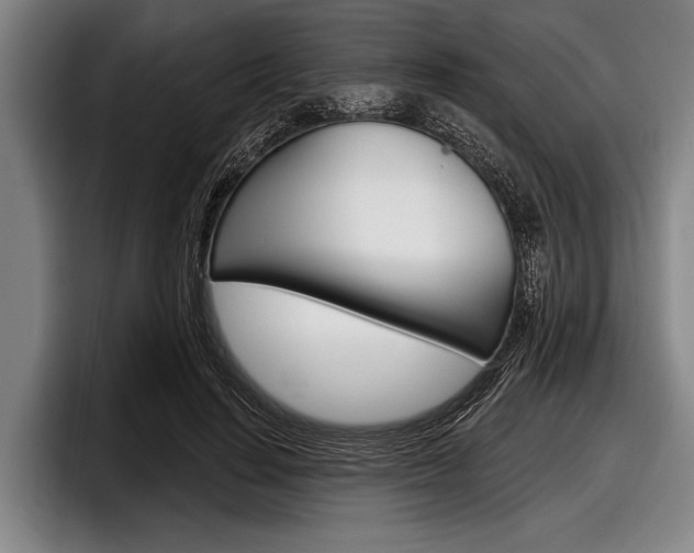 X0000097990644200803241022
