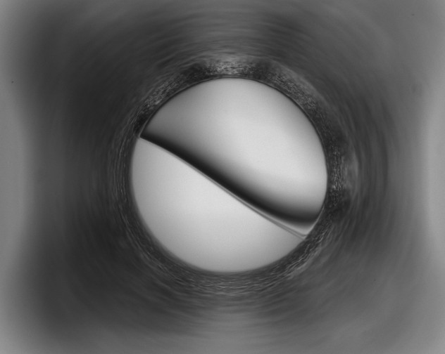 X0000097990646200803241022