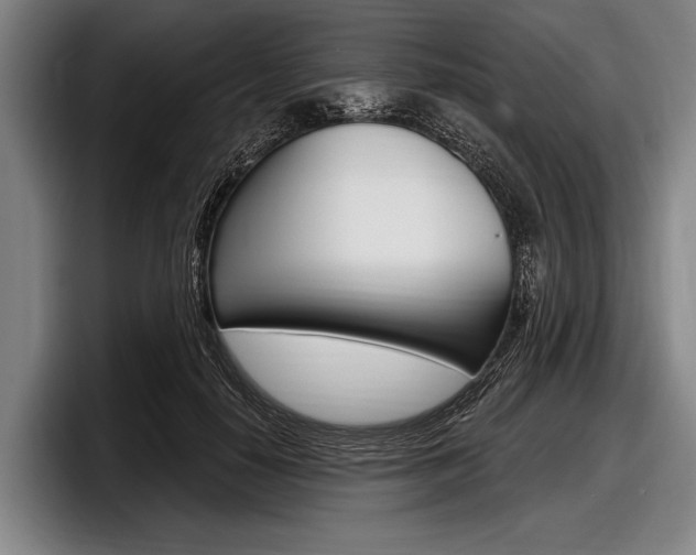 X0000097990650200803241022