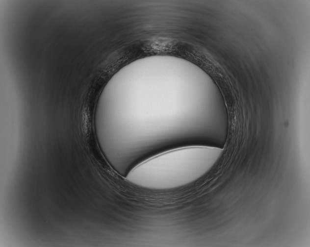X0000097990651200803241022