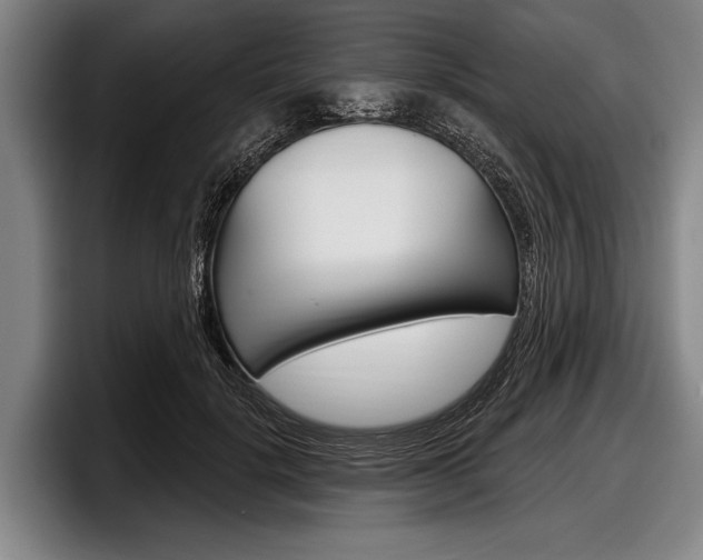 X0000097990652200803241022