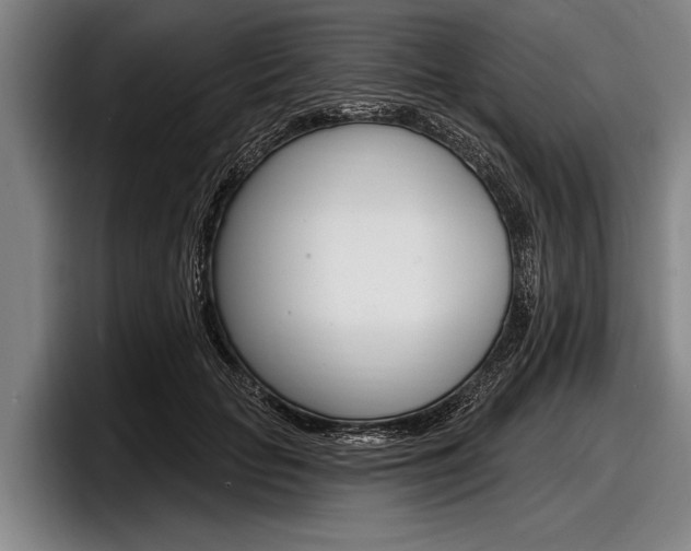 X0000097990653200803241022