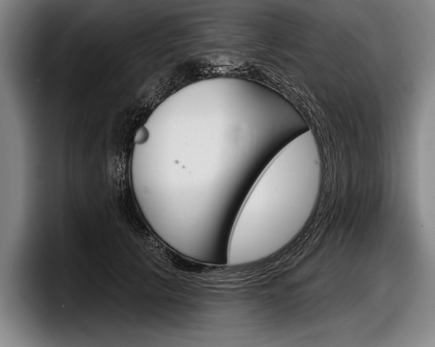X0000097990657200803241022