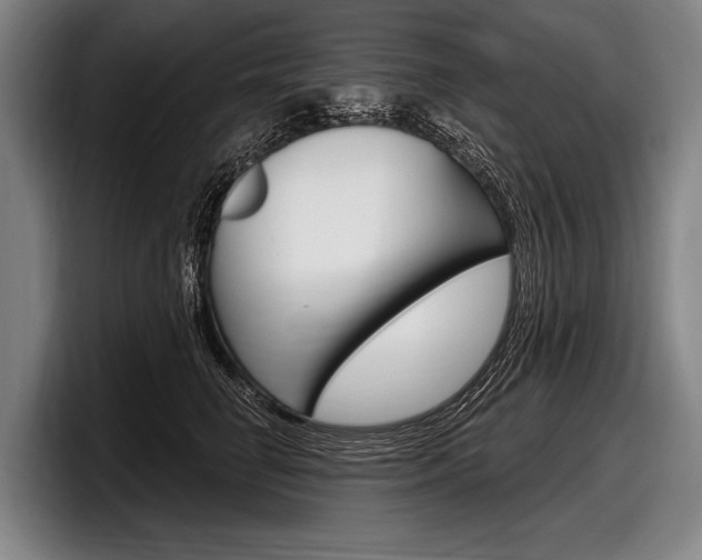 X0000097990662200803241023
