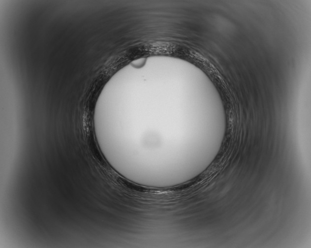 X0000097990663200803241023