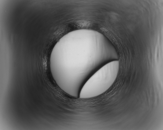 X0000097990668200803241023