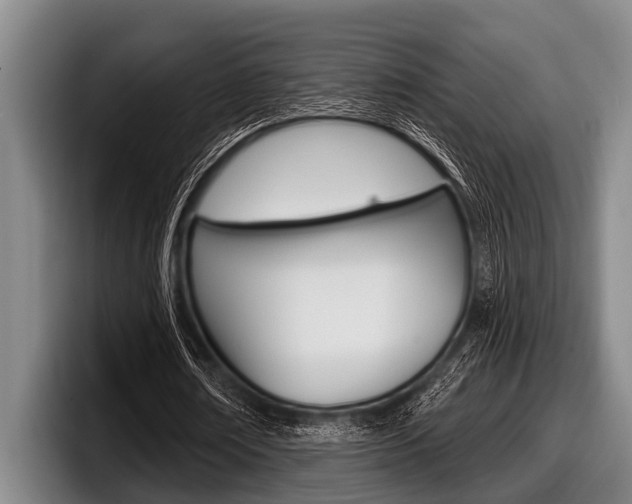 X0000097990674200803241022