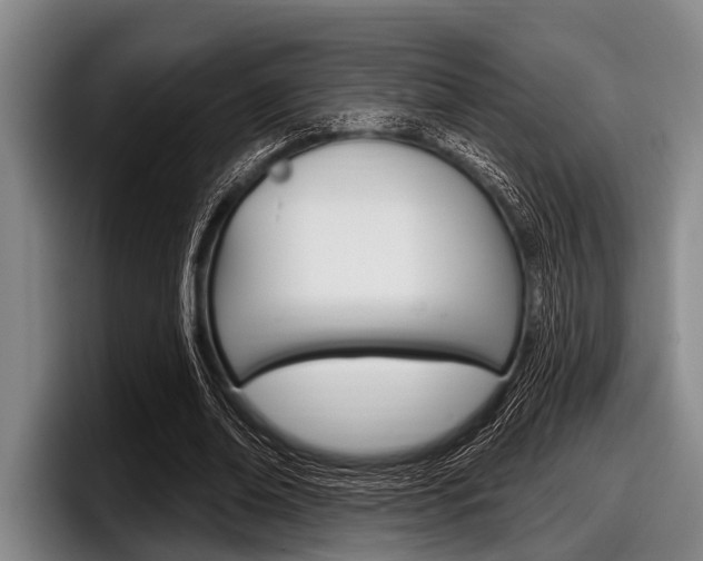 X0000097990678200803241022