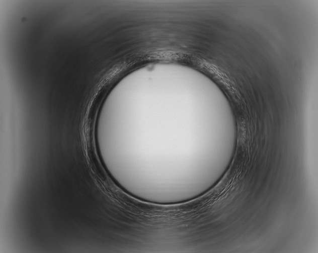 X0000097990679200803241022