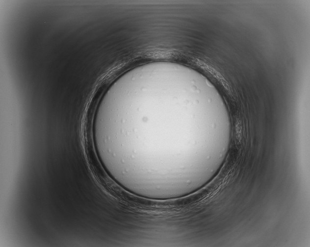 X0000097990682200803241022
