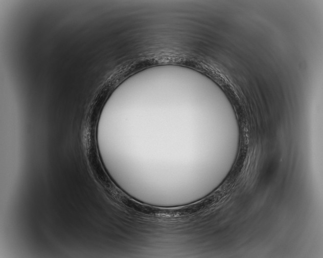 X0000097990690200803241022