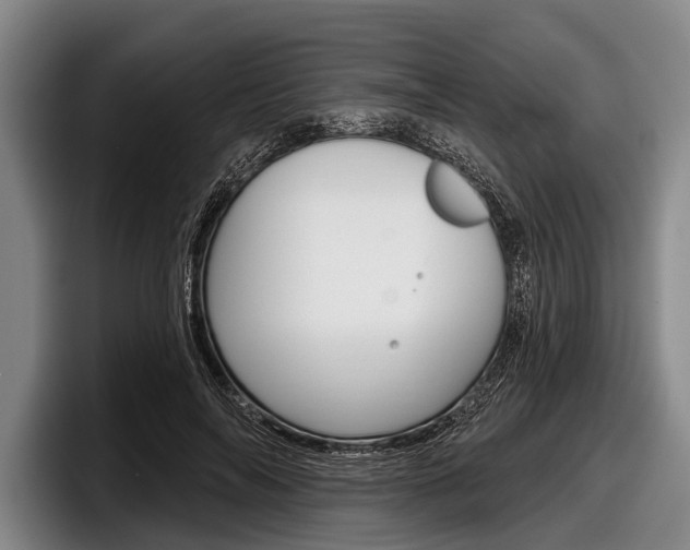 X0000097990694200803241022