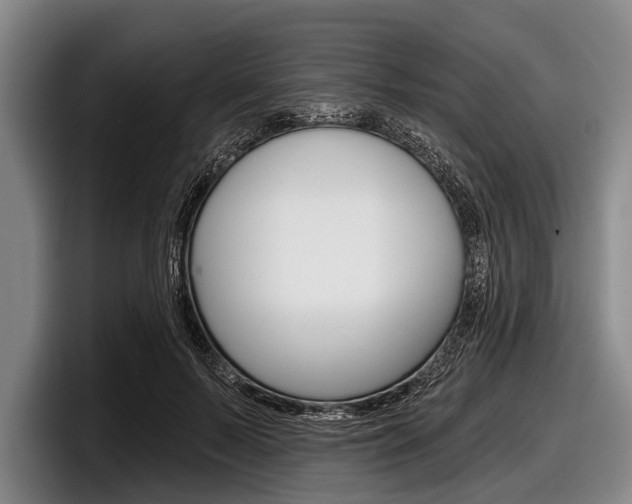 X0000097990695200803241022