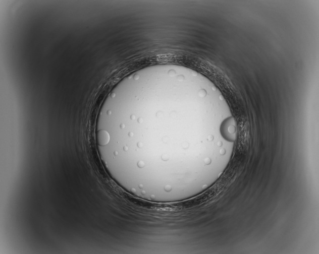 X0000097990698200803241022
