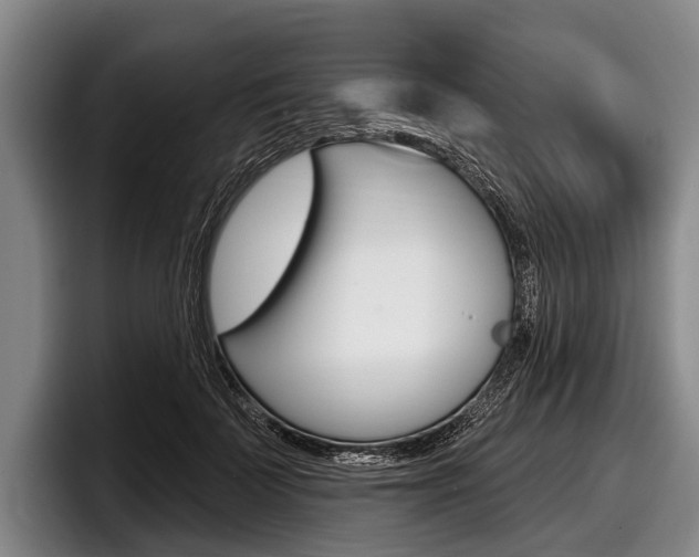 X0000097990699200803241022