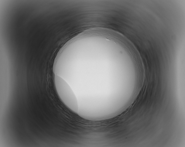X0000097990701200803241022