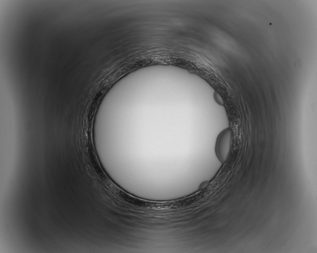 X0000097990702200803241022