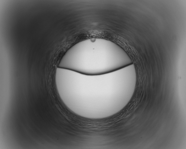 X0000097990703200803241022